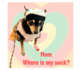 643138625