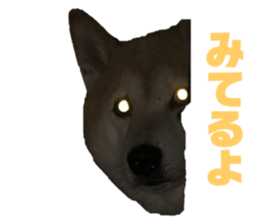 643149903