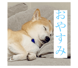 643149912
