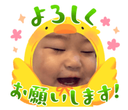 643153054