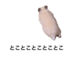 643158047