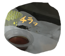 643201684