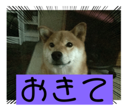 643201775