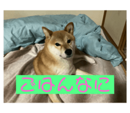 643201778
