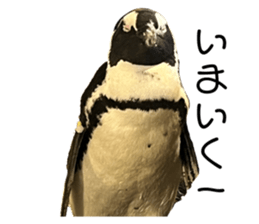 643232649