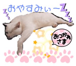 643234443