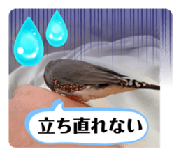 643234789