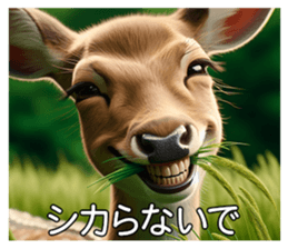 643236899