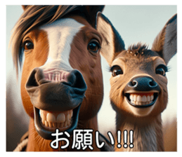643236904