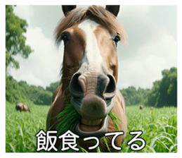 643236909