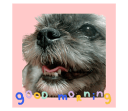 643266141