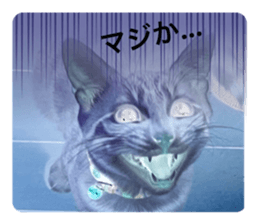 643332969