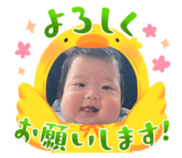 643335408