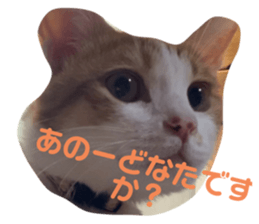 643346132