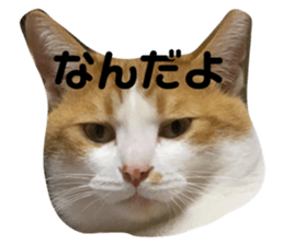 643346133
