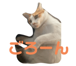643346142