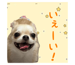 643346865