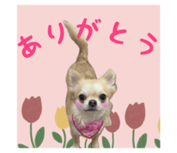643346868