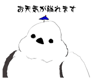 643348034