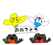 643348045