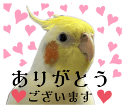 643353097