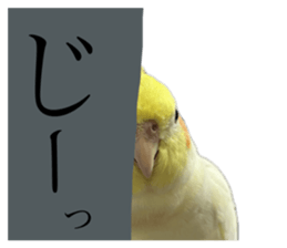 643353108