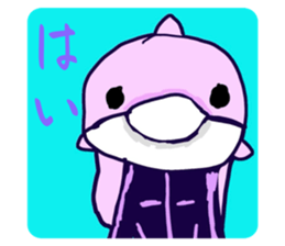643355886