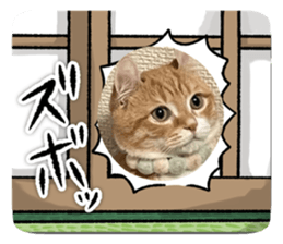 643356465