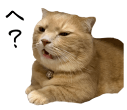 643357778