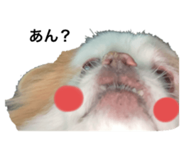 643359317