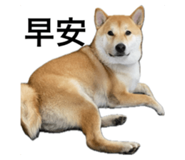 643361812