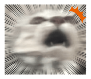 643371166