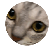 643371175