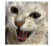 643371190