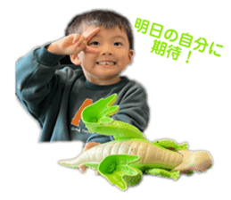 643375023