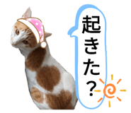 643375881
