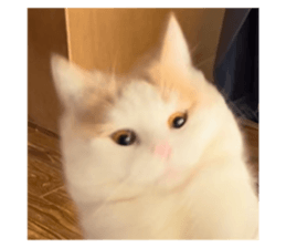 643407735