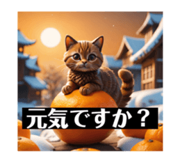 643412857