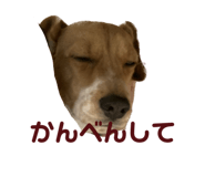 643413560