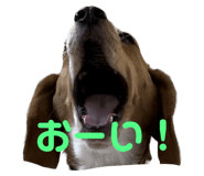643413562