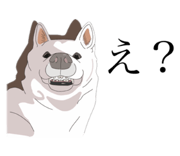643427944