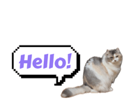 643442878