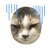 643442883