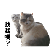 643442886
