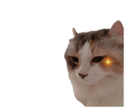643442893