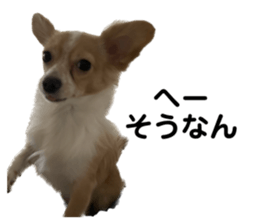 643466799