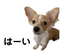 643466802