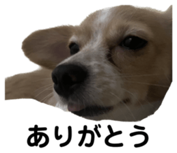 643466803