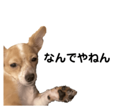 643466809