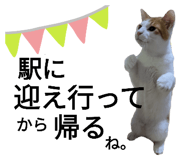 643500287